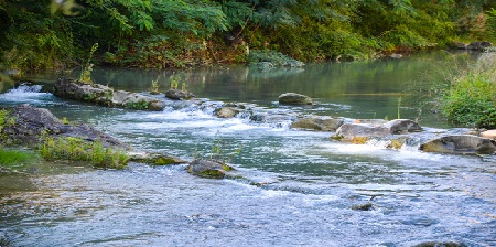 Biodiversità