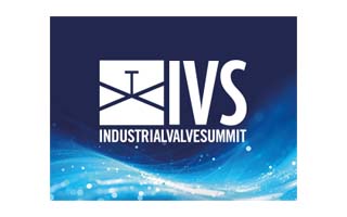 IVS