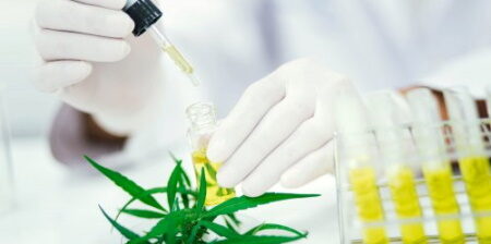 Soluzioni chiavi in mano per l’estrazione di CBD e THC