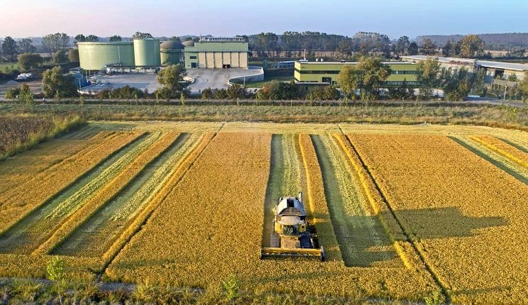 Un esempio di eccellenza di agricoltura circolare: il caso Acqua & Sole