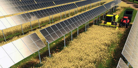 competizione tra cibo ed energia agrivoltaico studio polimi