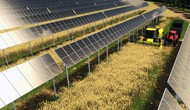 L’agrivoltaico può ridurre la competizione tra cibo ed energia