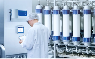 controllo online delle impurità chimiche