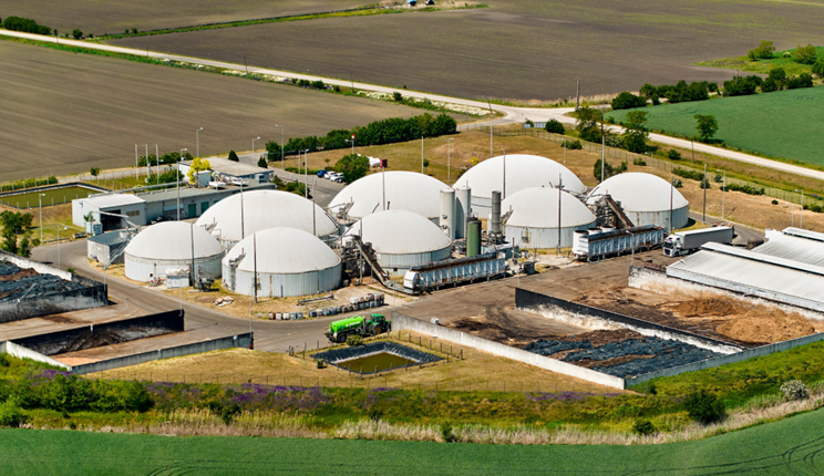 Szarvas mol group