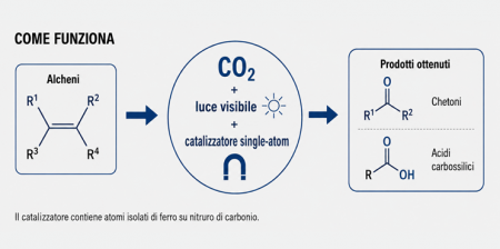 CO₂ donatore di ossigeno polimi