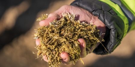 proposte Chimica Verde Bionet biobased